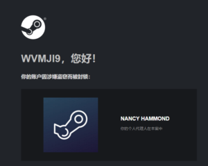 csgo饰品被盗，谁能帮我找回，谢谢各位大佬-弘客联盟