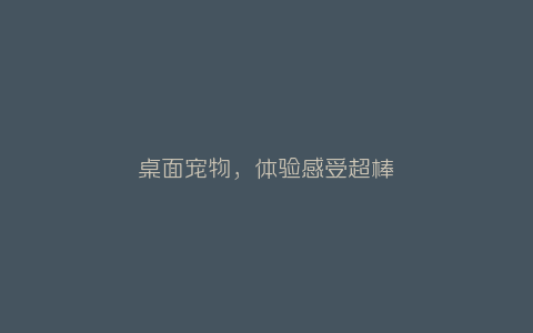 桌面宠物，体验感受超棒-弘客联盟